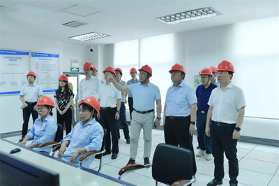 最高法咨詢委員會副主任兼秘書長杜萬華一行蒞臨澄星股份考察指導